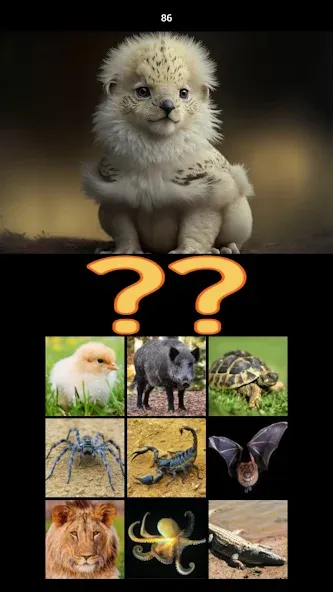 Hybrid Animals Crazy Lab Quiz (Хибридные животные Сумасшедшая лаборатория Викторина)  [МОД Бесконечные деньги] Screenshot 5