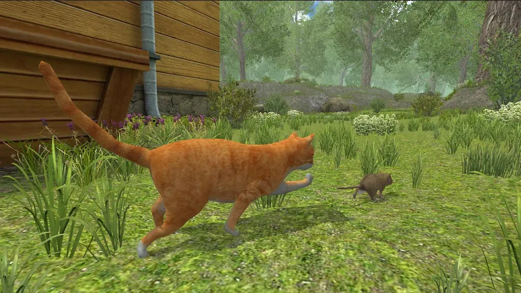 Mouse Simulator :  Forest Home  [МОД Unlocked] Screenshot 3