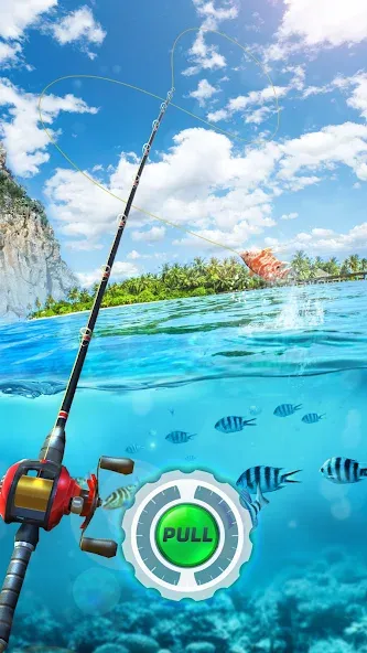 Fishing Rival 3D (Фишинг Ривал 3Д)  [МОД Бесконечные монеты] Screenshot 1