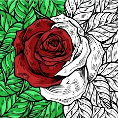 Скачать взломанную Color by Number: Coloring Book  [МОД Меню] - полная версия apk на Андроид