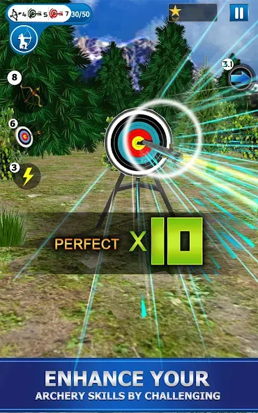 Archery Shoot  [МОД Mega Pack] Screenshot 2