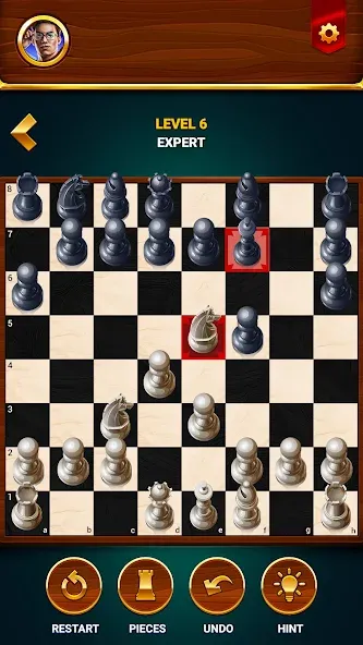 Chess - Offline Board Game  [МОД Mega Pack] Screenshot 3