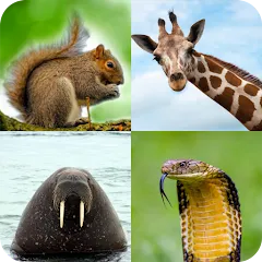 Скачать взлом Animal Quiz: Guess the Animal  [МОД Бесконечные деньги] - последняя версия apk на Андроид