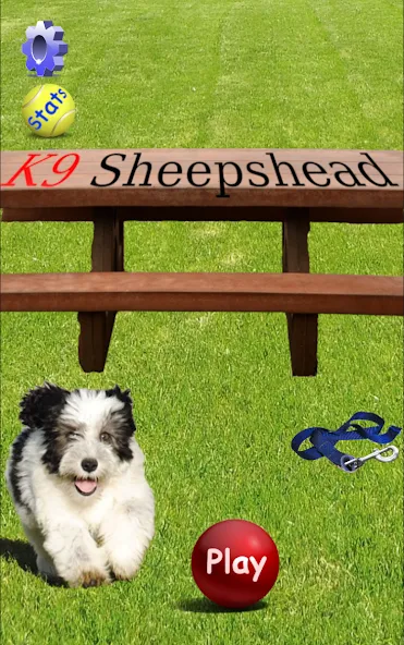 K9 Sheepshead (Schafkopf) (Шипсхед)  [МОД Много денег] Screenshot 1