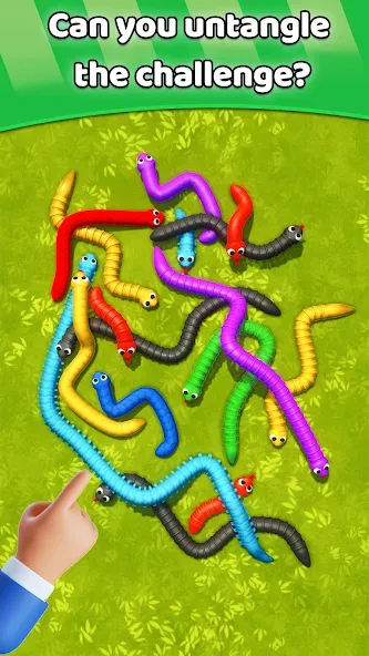 Tangled Snakes Puzzle Game (Танглед Снейк 3Д)  [МОД Меню] Screenshot 5