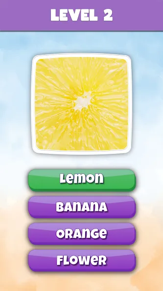 What is it? Pics Trivia Quiz  [МОД Меню] Screenshot 3