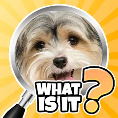 Скачать взлом What is it? Pics Trivia Quiz  [МОД Меню] - последняя версия apk на Андроид