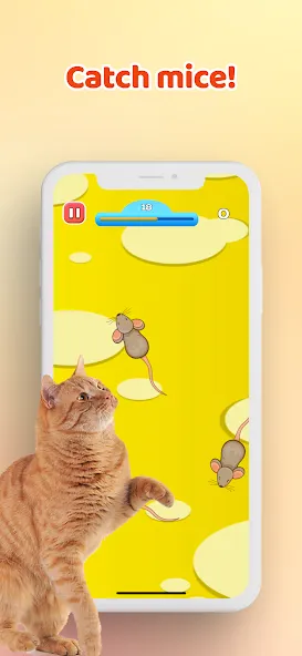 Games for Cat－Toy Mouse & Fish  [МОД Все открыто] Screenshot 1