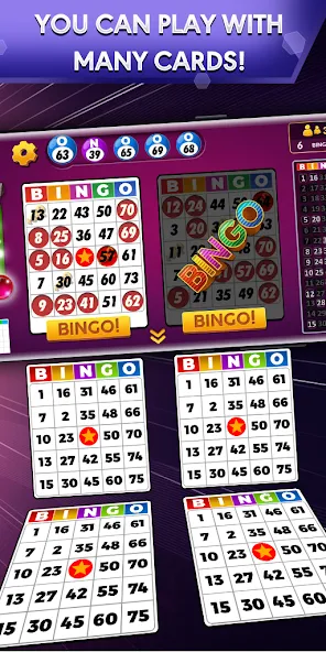 Bingo - Offline Bingo Game  [МОД Все открыто] Screenshot 1