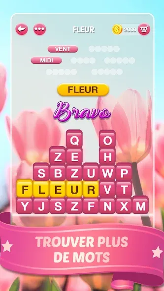 Mots Malins - Jeu de mots pro (Мо Малинс)  [МОД Меню] Screenshot 3