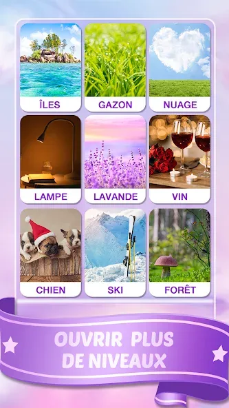 Mots Malins - Jeu de mots pro (Мо Малинс)  [МОД Меню] Screenshot 5