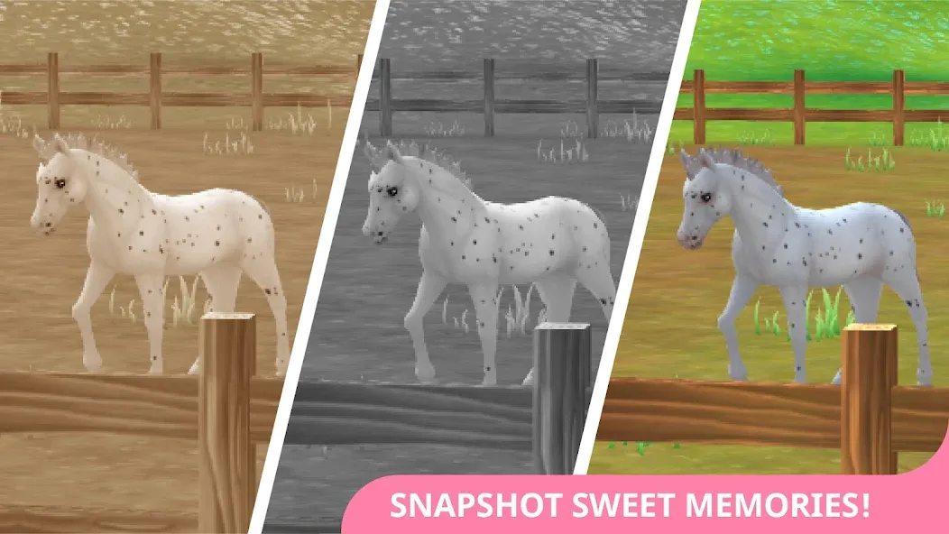 Star Stable Horses (СТар Стабл Хорсес)  [МОД Все открыто] Screenshot 4