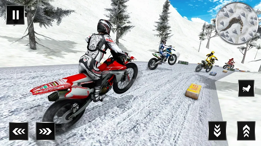 Motocross Dirt Bike Champions (Мотокросс Чемпионы Грязевых Мотоциклов)  [МОД Все открыто] Screenshot 3