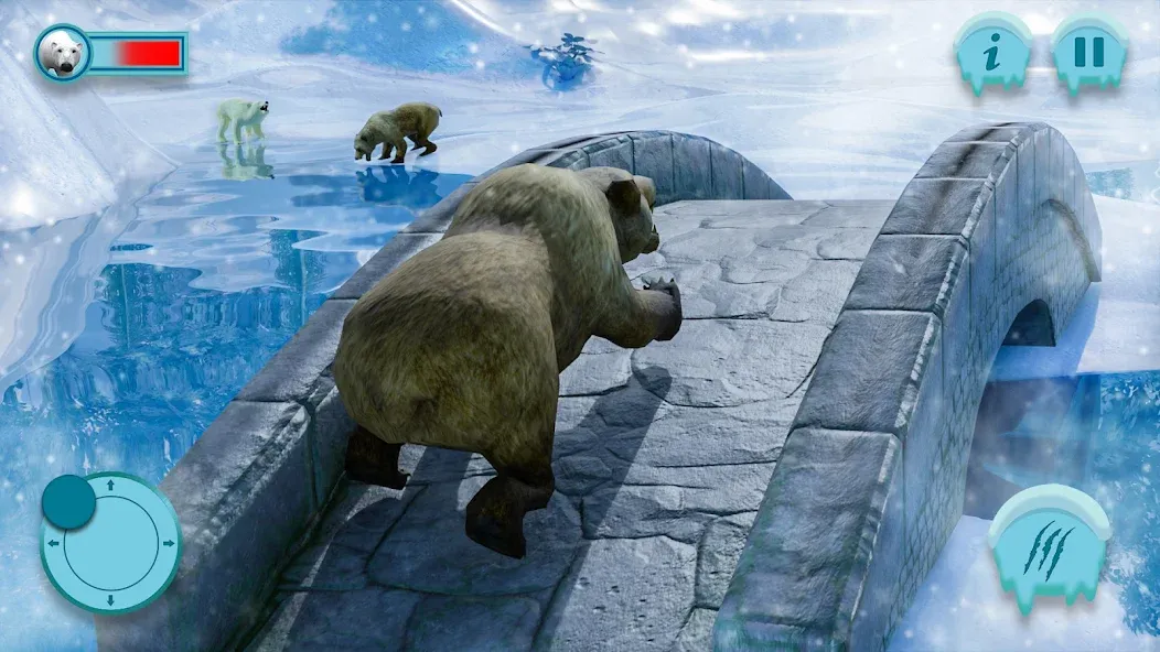 Polar Bear Family Survival  [МОД Unlimited Money] Screenshot 1