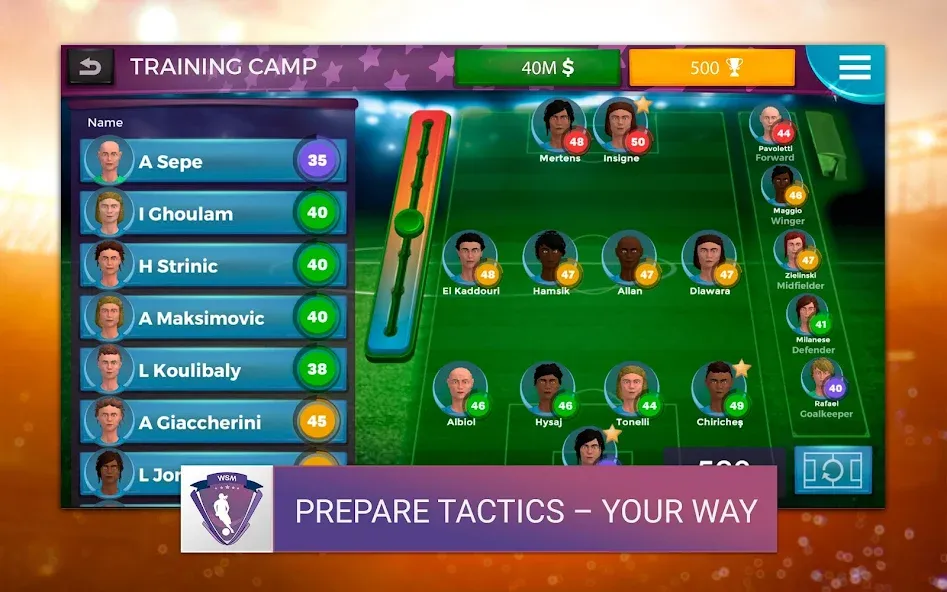 WSM - Women's Soccer Manager (ВСМ)  [МОД Unlocked] Screenshot 5