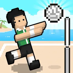 Скачать взлом Volley Random (Воллей Рэндом)  [МОД Меню] - полная версия apk на Андроид