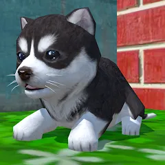 Взлом Cute Pocket Puppy 3D (Сьют Покет Паппи 3Д)  [МОД Menu] - последняя версия apk на Андроид