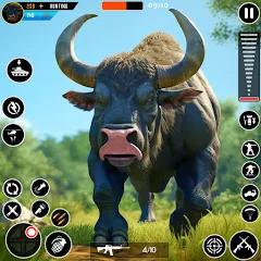 Скачать взлом Wild Animal Deer Hunting Games (Охота на диких зверей с оружием  игры)  [МОД Бесконечные монеты] - стабильная версия apk на Андроид