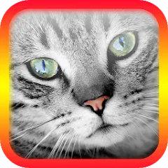 Взлом Translator for Cats Prank  [МОД Много денег] - полная версия apk на Андроид