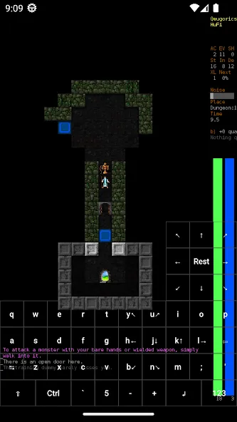 Dungeon Crawl Stone Soup (Данжен Кролл Стоун Суп)  [МОД Много монет] Screenshot 3